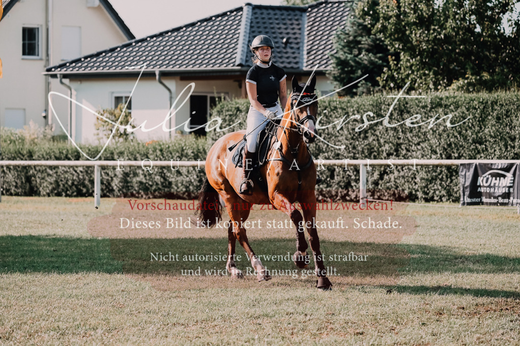 DSC_4657 | Pferde- und Turnierfotografie in Westsachsen. Pferdeportraits, Auftragszeichnungen und intuitive Kunst.