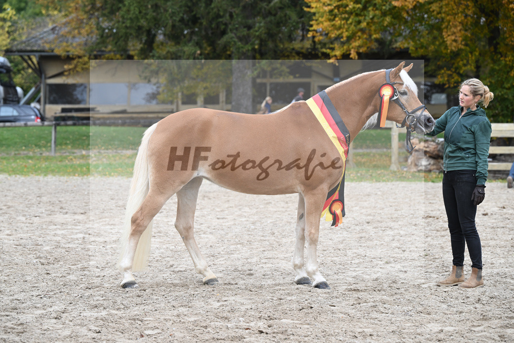 Kat-Nr. 259 Odette K_Kappelsberger_54223447 | hf-fotografie - Realisiert mit Pictrs.com
