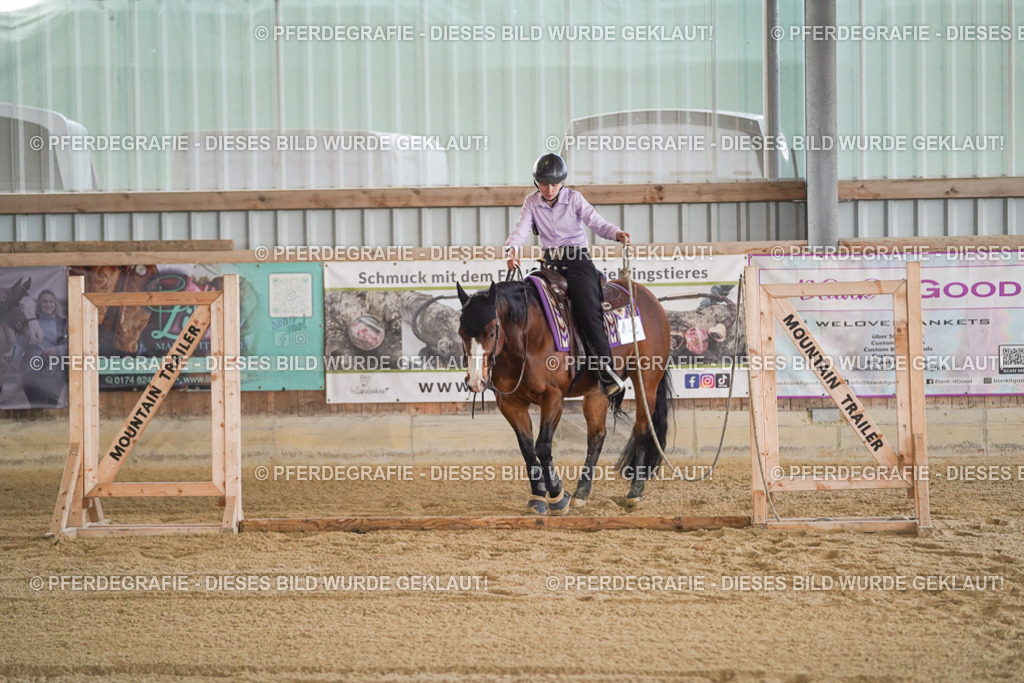 DSC01184 | Pferdegrafie