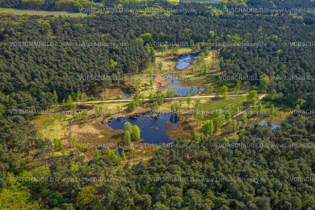 Brueggen240403120HeidhausenHeidemoore-I | Luftbild, Naturschutzgebiet NSG Heidemoore I, Wald und Teiche Feuchtgebiet an der deutsch-niederländischen Grenze, Heidhausen, Brüggen, Niederrhein, Nordrhein-Westfalen, Deutschland