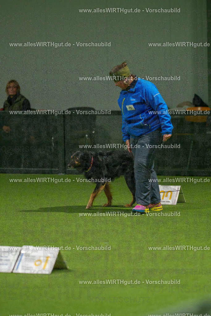 7R508703 | Professionelle Tierfotografie in Mönchengladbach von Daniel Wirth (allesWIRTHgut). Liebevolle & natürliche Bilder von Hunden & Katzen für unvergessliche Erinnerungen.