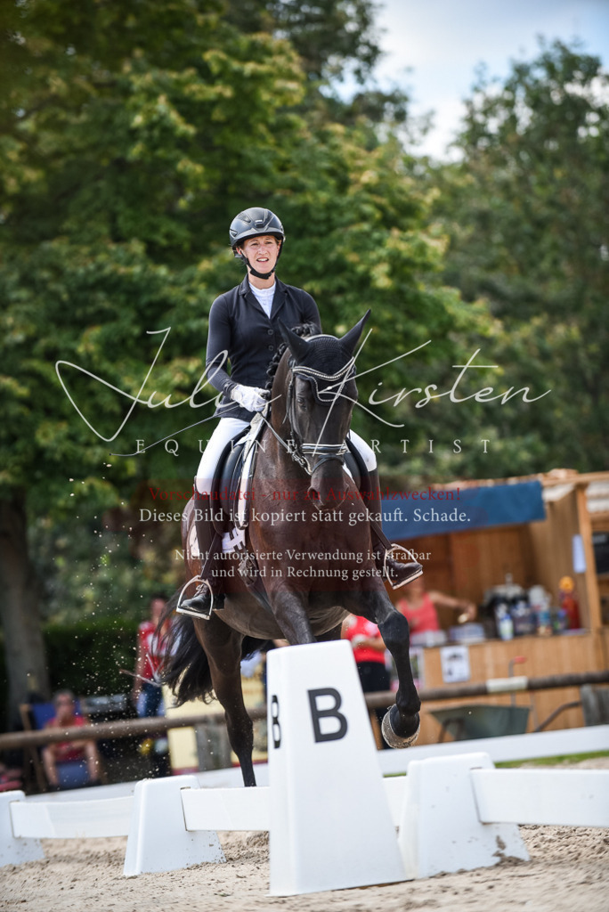DSC_9066 | Pferde- und Turnierfotografie in Westsachsen. Pferdeportraits, Auftragszeichnungen und intuitive Kunst.