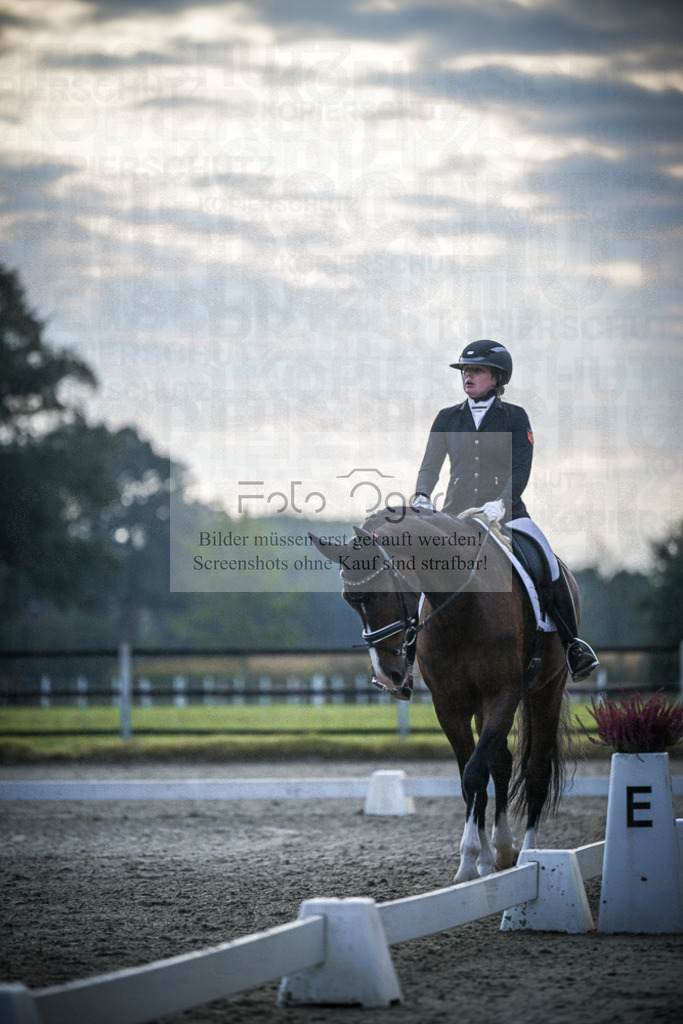 DOS_3771 | Entdecke hochwertige Reitturnierfotos von Foto Oger. Professionell, emotional und authentisch – jetzt Lieblingsmomente im Shop bestellen.Deutschlandweite Turnierfotografie. - Realisiert mit Pictrs.com