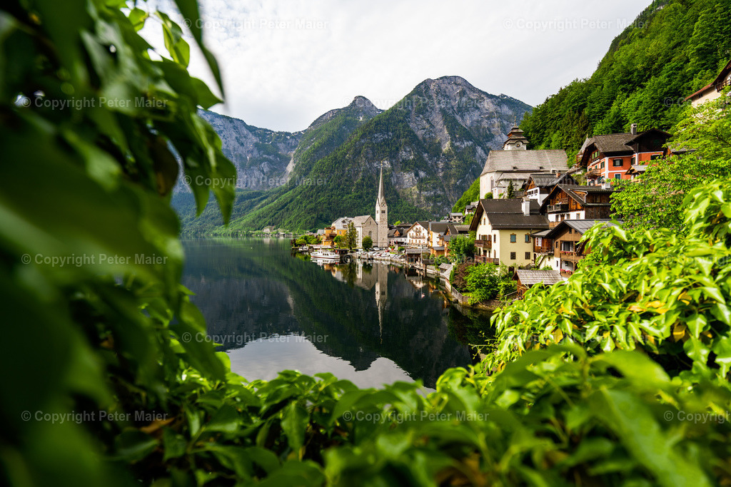 Hallstatt_2020-26-Bearbeitet | piet_flosse