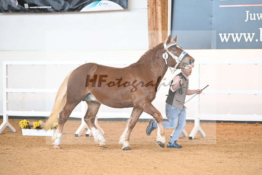 Kat-Nr. 8 v. Vandin_Urmann_2230085 | hf-fotografie - Realisiert mit Pictrs.com