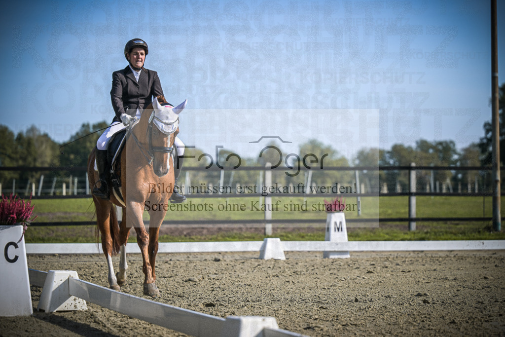 DOS_1560 | Entdecke hochwertige Reitturnierfotos von Foto Oger. Professionell, emotional und authentisch – jetzt Lieblingsmomente im Shop bestellen.Deutschlandweite Turnierfotografie. - Realisiert mit Pictrs.com