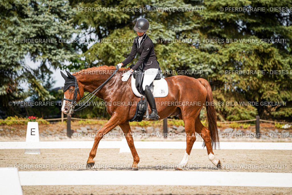 DSC06758 | Pferdegrafie