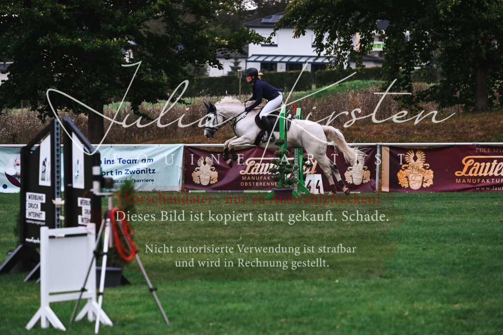 DSC_6103 | Pferde- und Turnierfotografie in Westsachsen. Pferdeportraits, Auftragszeichnungen und intuitive Kunst.