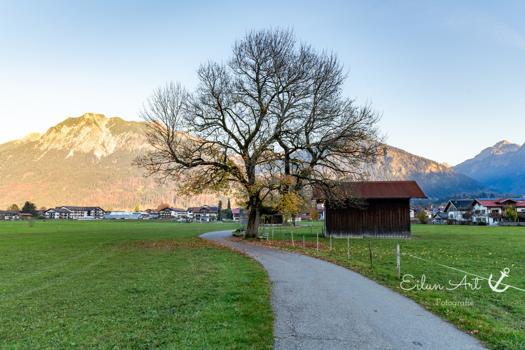 20241102-EAF_5562 | Eilun-Art-Fotografie Levke Martens, ihre Fotografin für Immobilien- und Landschaftsfotografie auf Föhr, Föhrer Motive als Poster, Leinwand, hinter Acrylglas oder stelle dir deinen eigenen Monatskalender zusammen, mit nur einem Klick