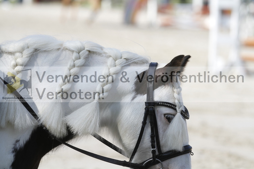 _MG_1699 | equestrian-live-com