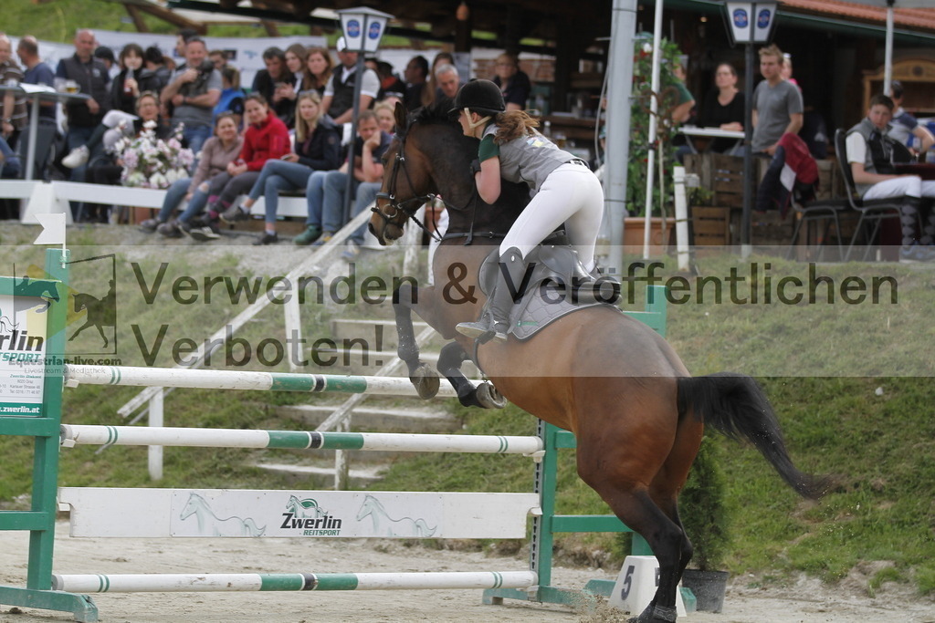 _MG_7684 | equestrian-live-com