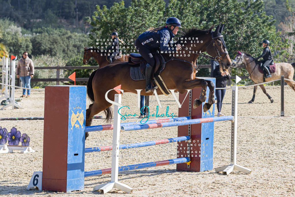 IMG_5333 | s-jay-photography - Realisiert mit Pictrs.com