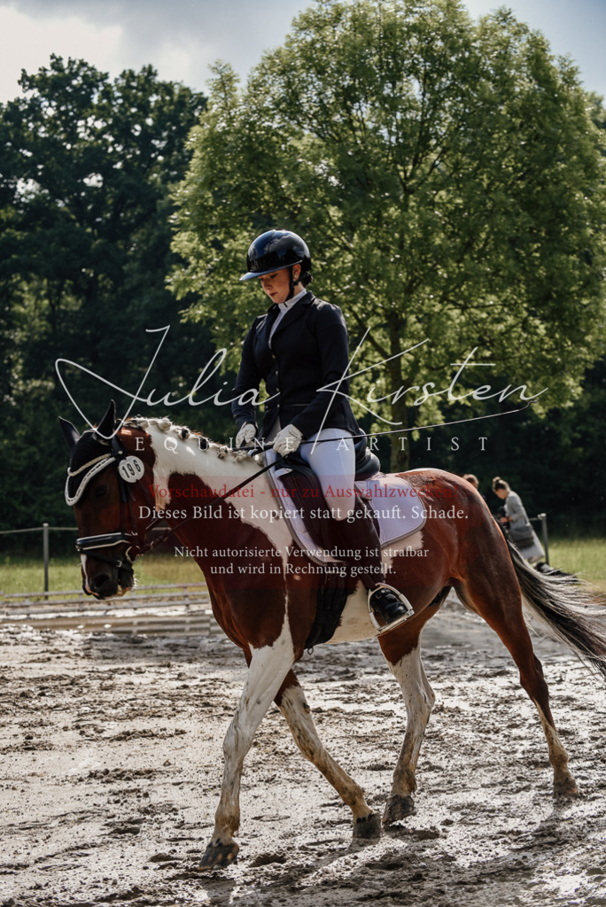 DSC_8733 | Pferde- und Turnierfotografie in Westsachsen. Pferdeportraits, Auftragszeichnungen und intuitive Kunst.