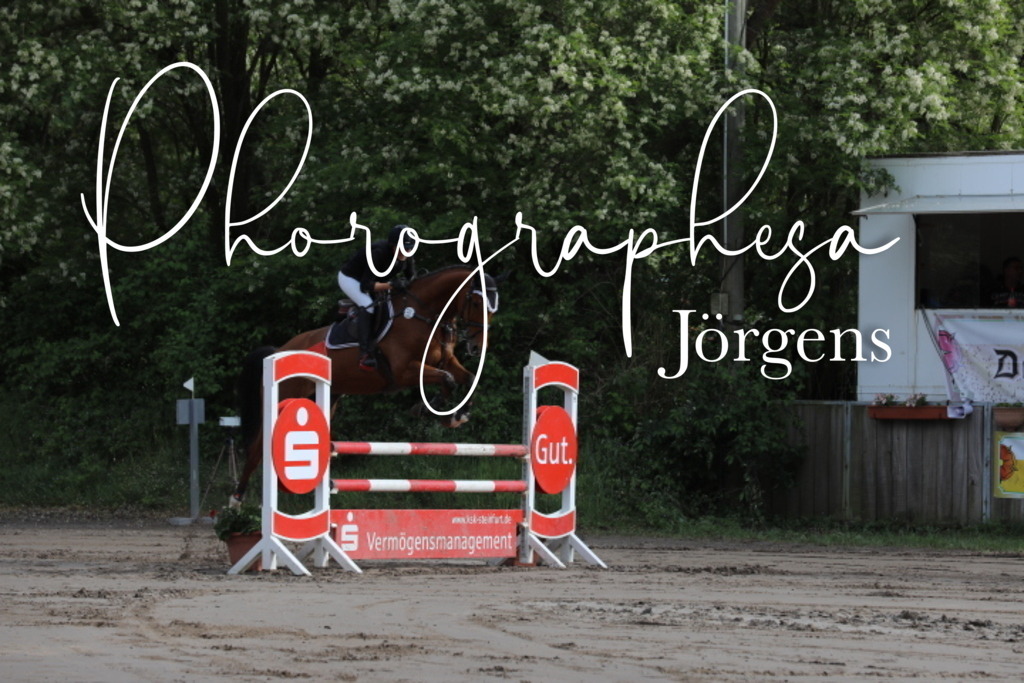 IMG_9039 | photographesa-joergens - Realisiert mit Pictrs.com