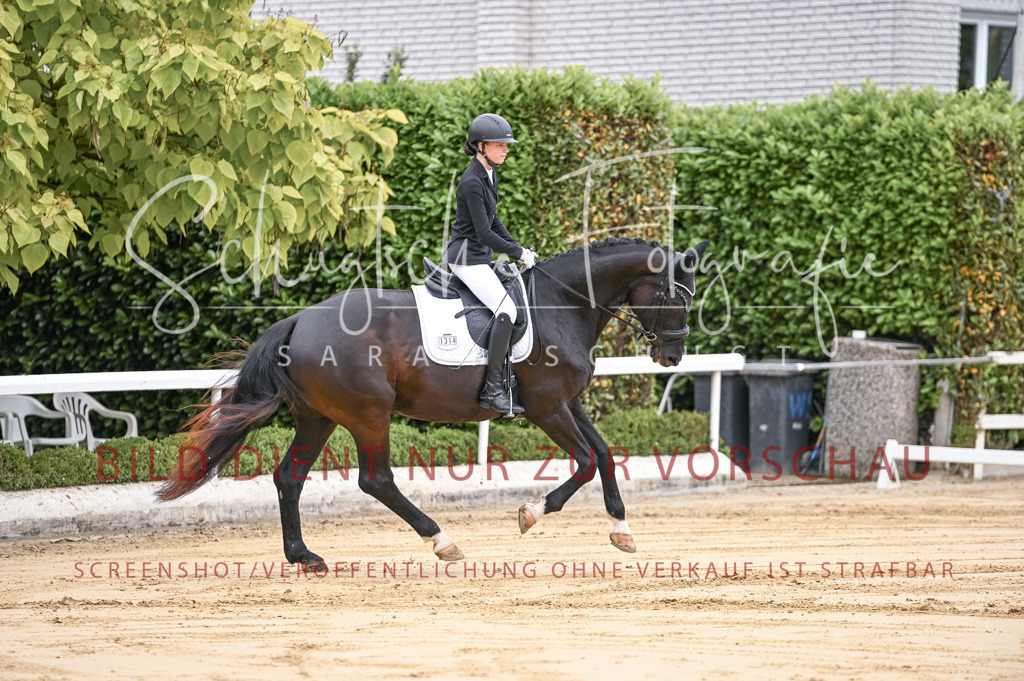 Schugtsche-Aluta25-42.EDressur -17 | Schugtsche Fotografie - Realisiert mit Pictrs.com