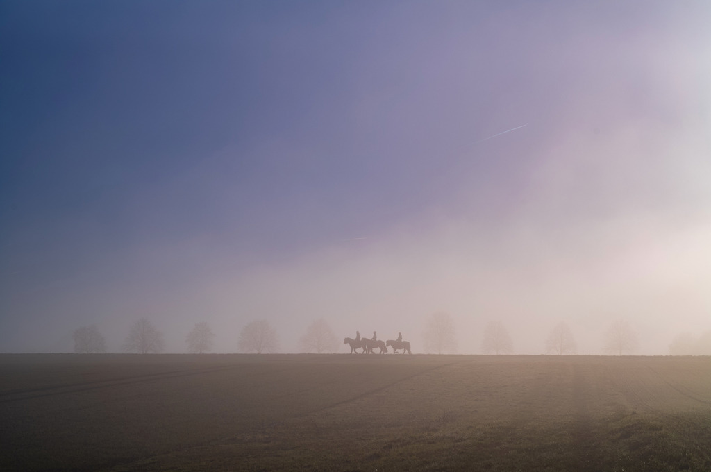 POA | Reiter im Nebel - Realisiert mit Pictrs.com