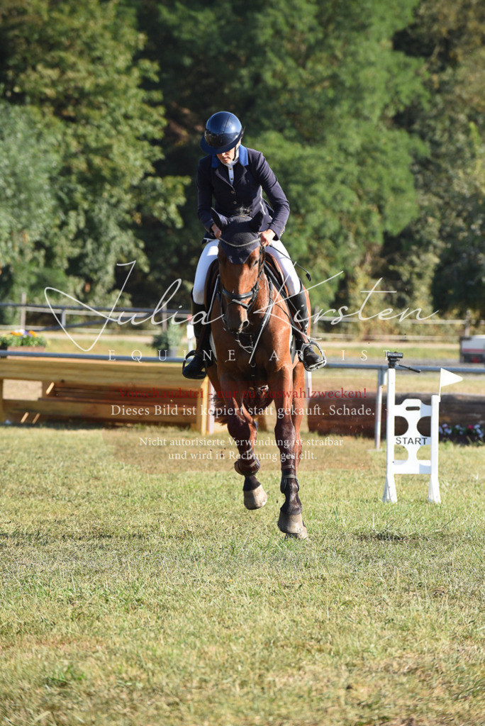 DSC_5050 | Pferde- und Turnierfotografie in Westsachsen. Pferdeportraits, Auftragszeichnungen und intuitive Kunst.