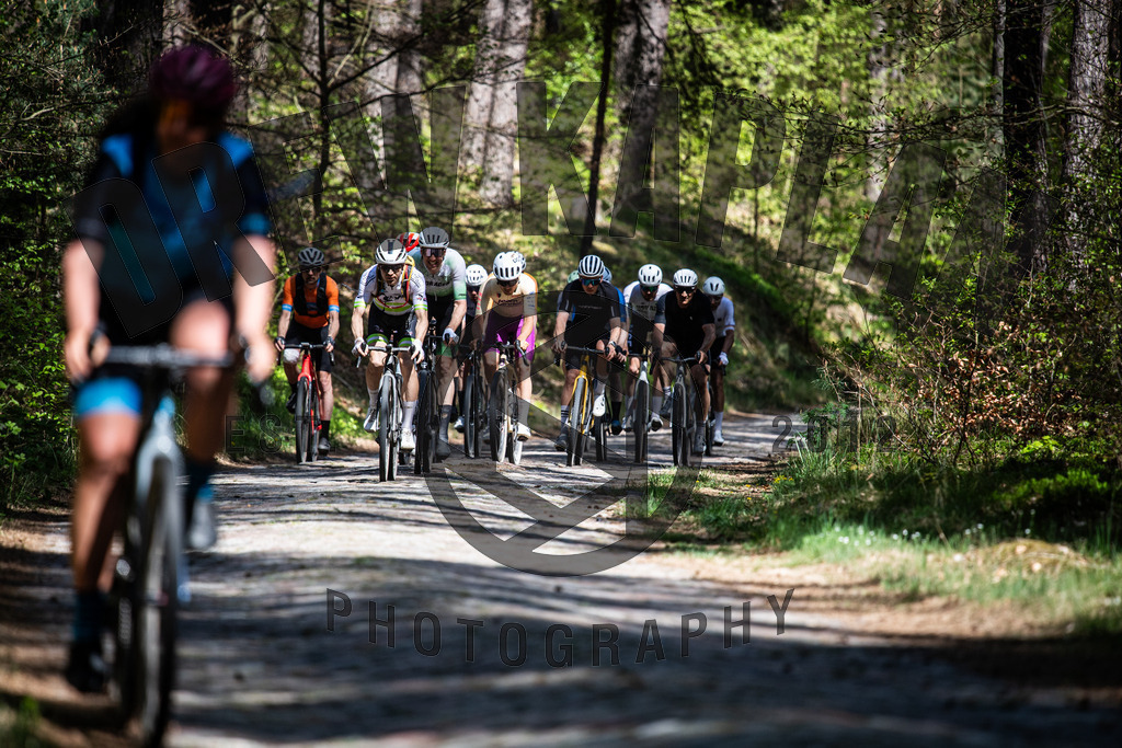 DKP-2365 | Drew Kaplan Photography