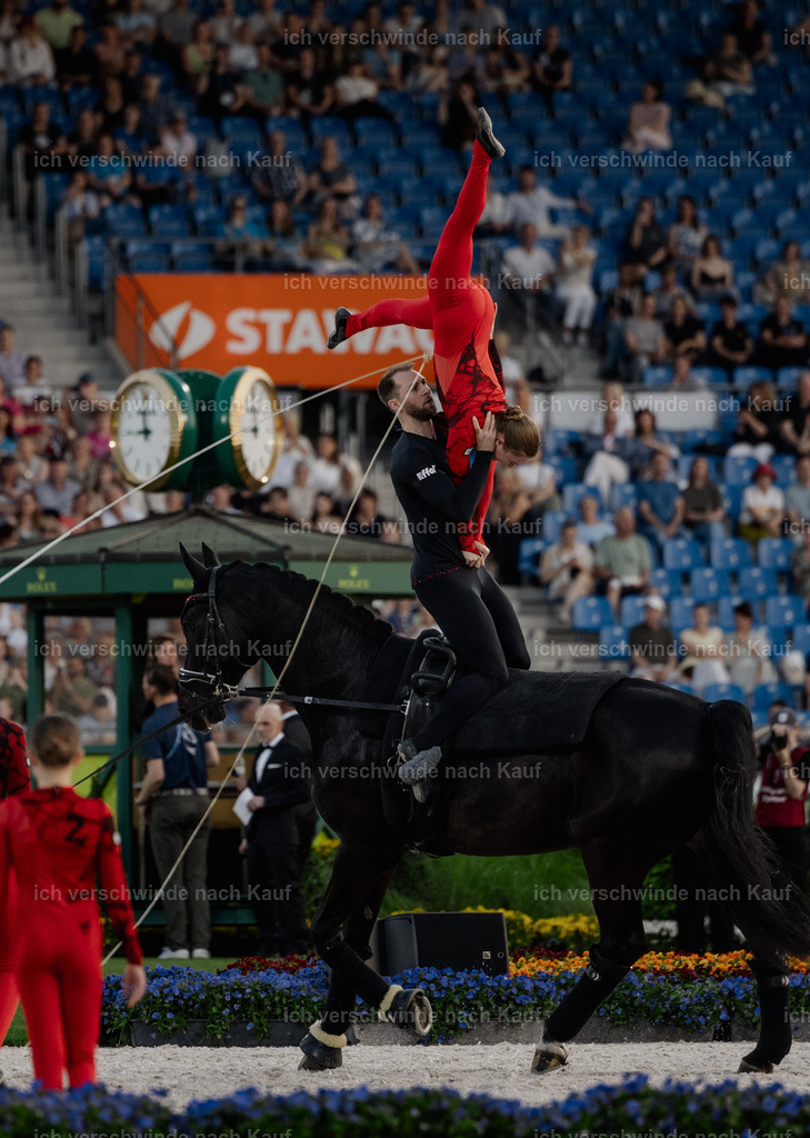 TSCHIO26_PferdundSinfonie_StoibphotographyTSCHIO26_Pferd-Sinfonie_Stoibphotography_AM10927.CR3.jpg | working equitationturnier fotograf videograf stoibphotography marixx film working equitation deutschland reitsport turnierfotografie eventfotografie equestrian events