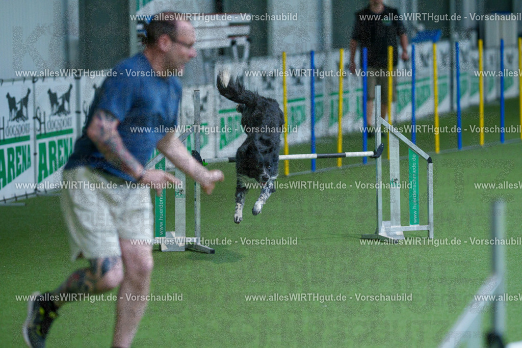 @allesWIRTHgut_Tierfotografie - www.allesWIRTHgut.de - 2604261520-7R505276 | Professionelle Tierfotografie in Mönchengladbach von Daniel Wirth (allesWIRTHgut). Liebevolle & natürliche Bilder von Hunden & Katzen für unvergessliche Erinnerungen.