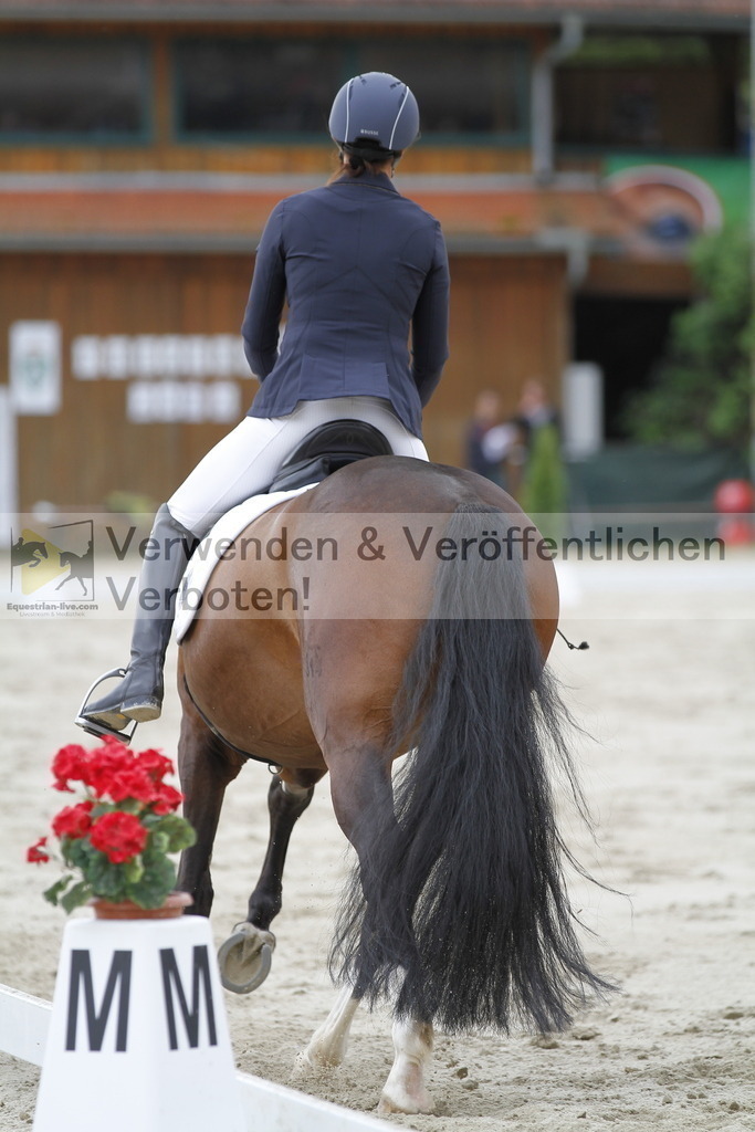 _MG_4285 | equestrian-live-com