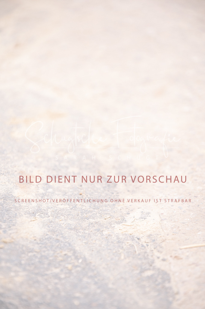 Schugtsche-Aluta25-40.DressurprfA_-325 | Schugtsche Fotografie - Realized with Pictrs.com