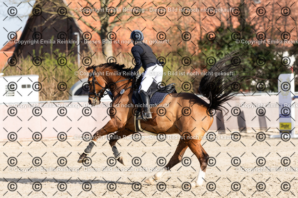 CL5A6140 | Emilia Reinking Fotografie - Realisiert mit Pictrs.com