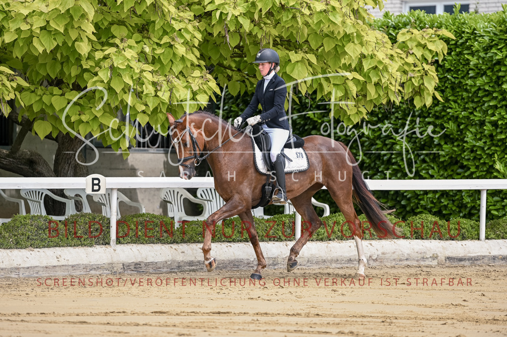 Schugtsche-Aluta25-48.Reitpferfdeprf.-90 | Schugtsche Fotografie - Realisiert mit Pictrs.com