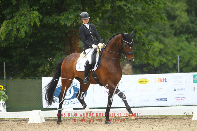 DKP40234 | Turniersportfotografie; Pferdefotografie; Dressurfotografie