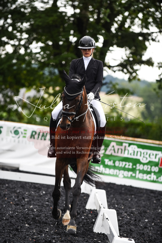 DSC_2930 | Pferde- und Turnierfotografie in Westsachsen. Pferdeportraits, Auftragszeichnungen und intuitive Kunst.