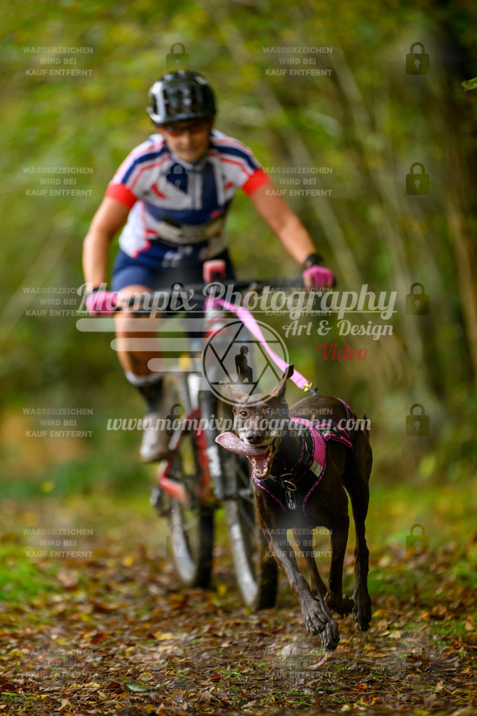MompixPhotography_20TSB_E1_Bike-7 | PayLife