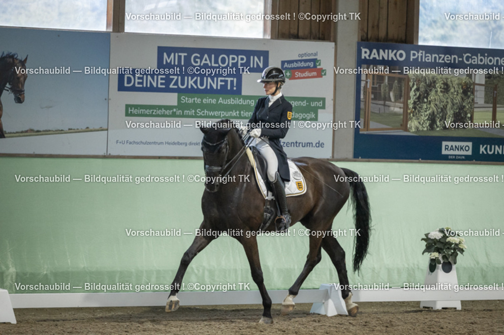 _D5A6956 | Emotionale Pferde- & People-Fotografie rund um Heidelberg, Leimen & Umgebung. Natürliche Fotos von Pferd, Mensch & Familie. Jetzt Termin sichern!