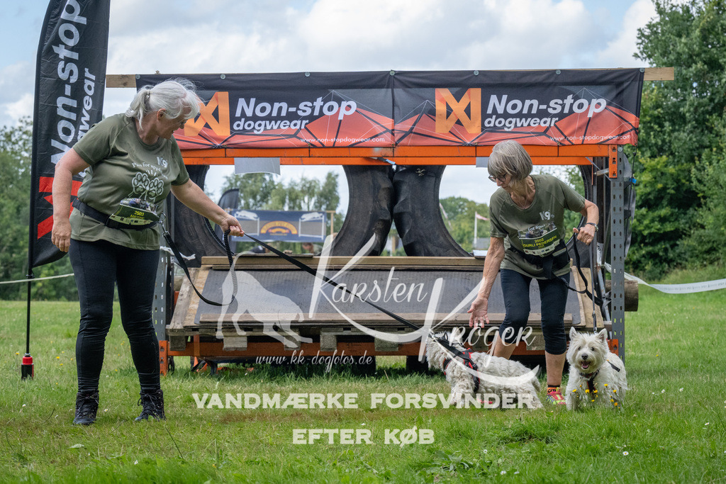 1546_ZZ94072 | kk-dogfotos