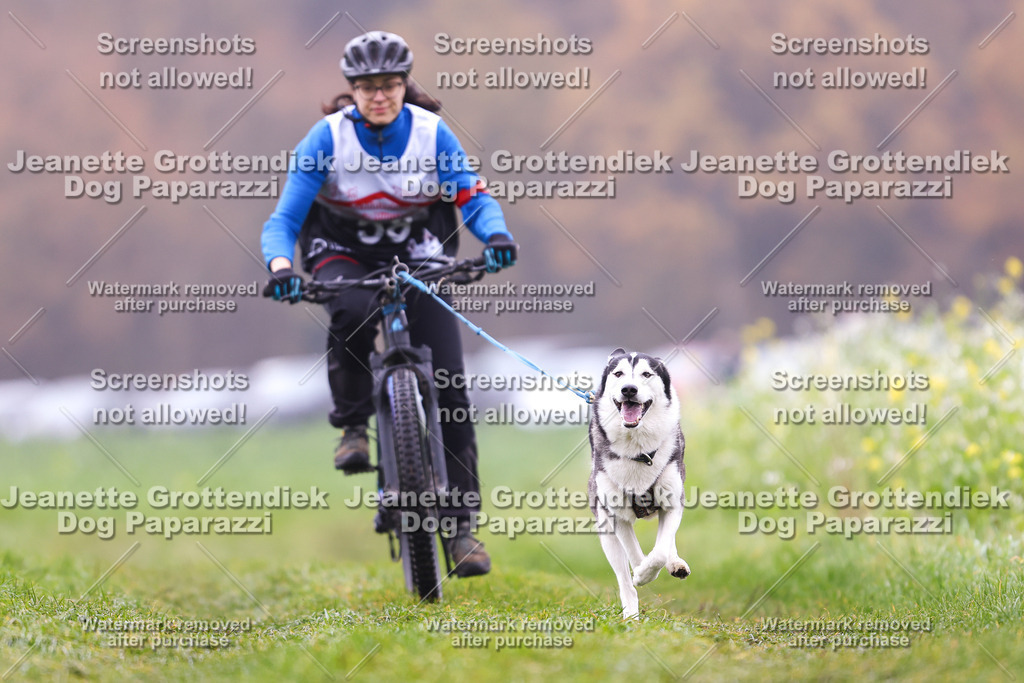 Dog Paparazzi - Visbeck 25 -182 | Dog Paparazzi Jeanette Grottendiek Fotografie & Videografie - Realisiert mit Pictrs.com