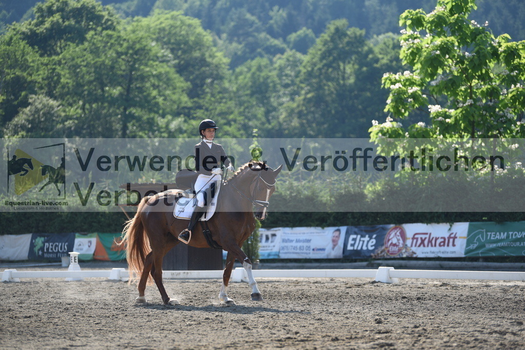 DSC_2854 | equestrian-live-com