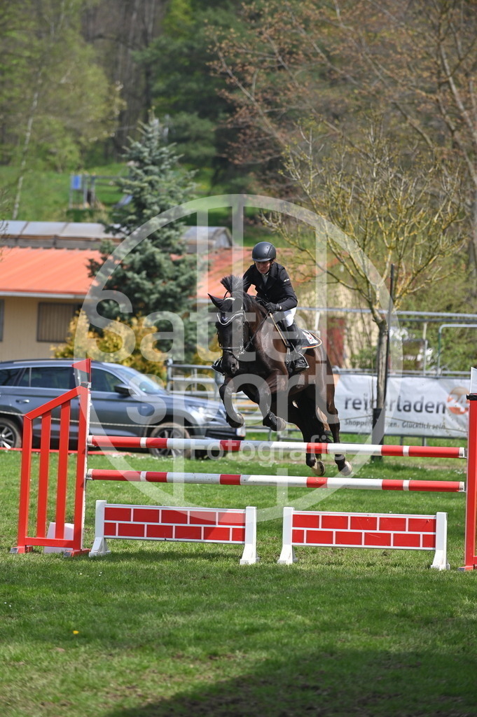 DSC_2428 | sattelsport - Realisiert mit Pictrs.com