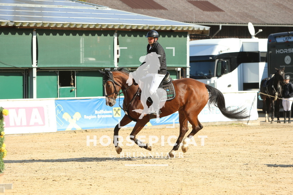 DL2Q4939 | Willkommen bei Brunnmayr - Design & Fotografie – Ihrem Spezialisten für Reitturniere und Pferdeveranstaltungen in Oberösterreich, Salzburg und Bayern! Seit über 17 Jahren sind wir leidenschaftlich dabei.