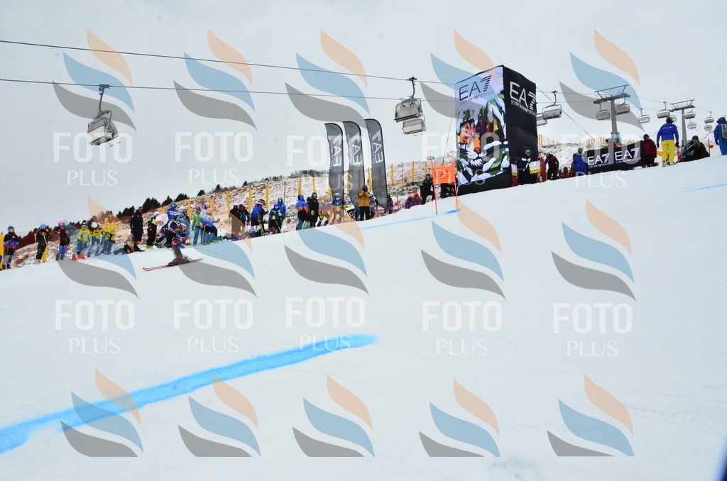 _ELE3221 | holidayphoto