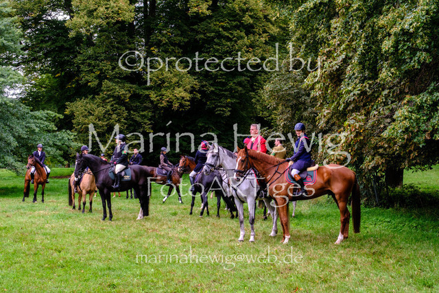 Jagd Perdoel 26 Fuji-9709_MarinaHewig | Fotografie, FotoArt, PferdesportArt, Pferdesportfotografie, Landschaftsfotografie, Reisefotografie, Reise, Pferde - Realisiert mit Pictrs.com