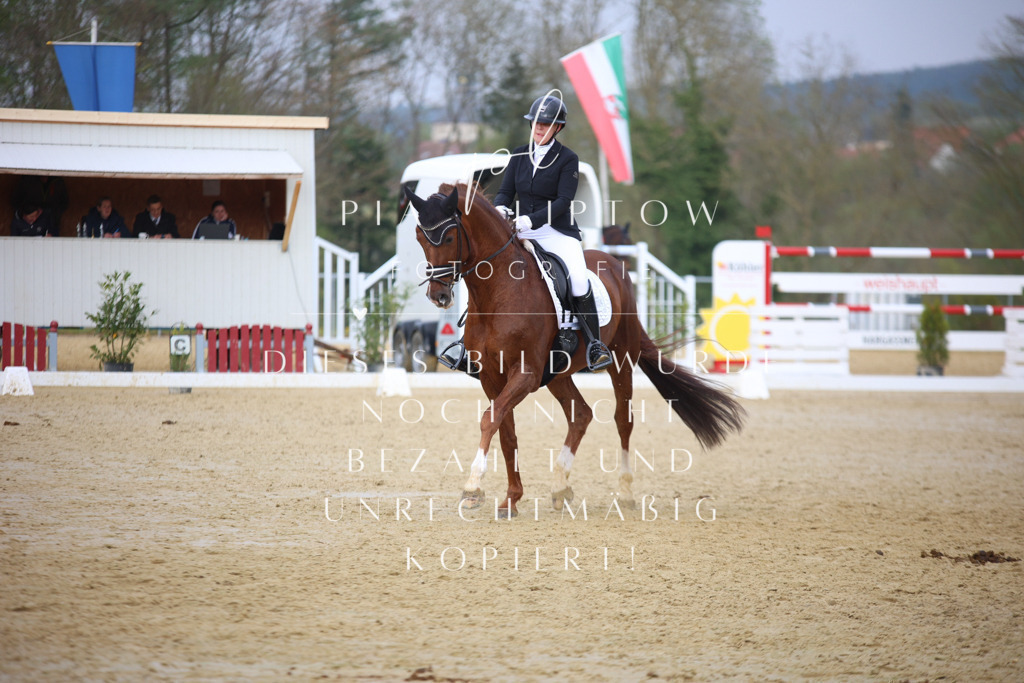 IMGT7593 | pl-fotografie