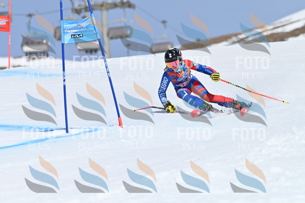 BGV_0119 | holidayphoto