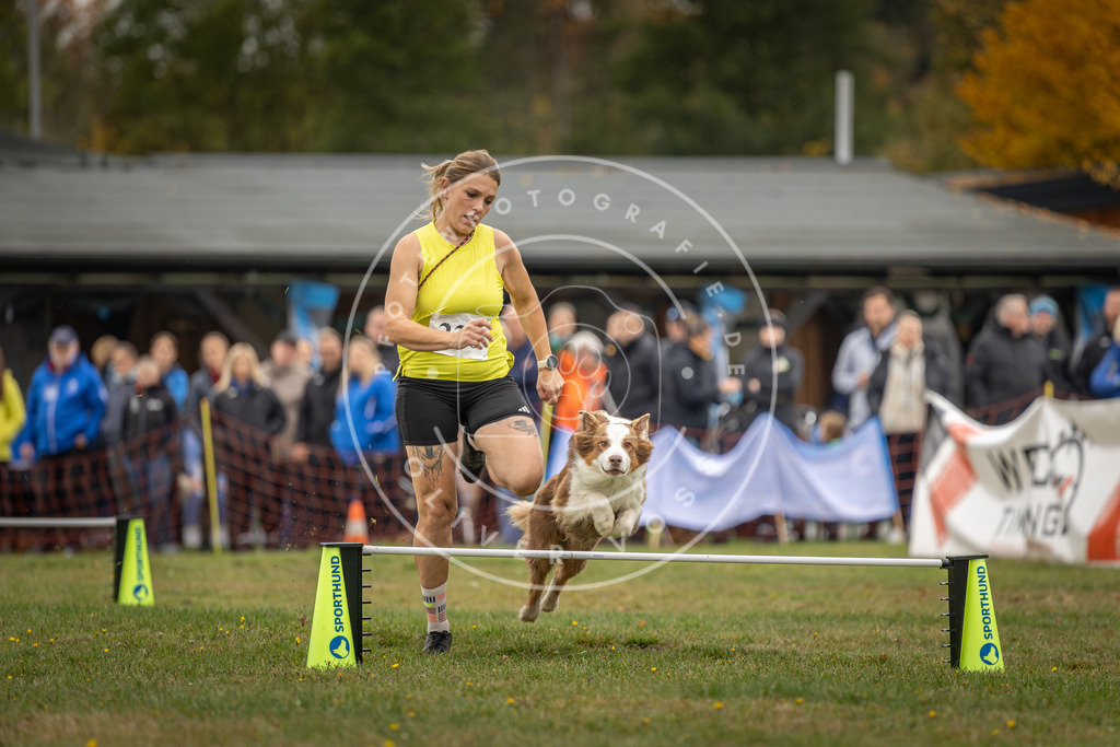 Pfotenfotografie_DV3A3041 | Hundefotografie, Tierfotograf, Pfotenfotografie, Fotoshooting Hund, Hunde Portrait, Hundesport, Hundeportraits, Heideshooting, Hunde, Sportfotograf, Hundefotograf, Turnierhundsport, THS,  - Realisiert mit Pictrs.com