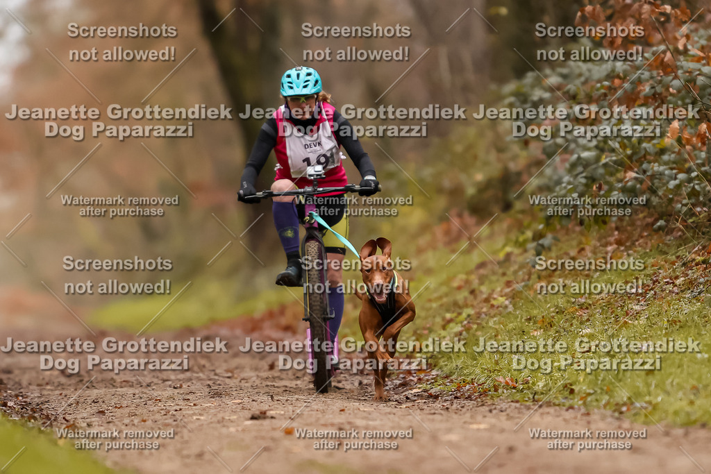 Dog Paparazzi - Speedhunter Mannheim  2025-111 | Dog Paparazzi Jeanette Grottendiek Fotografie & Videografie