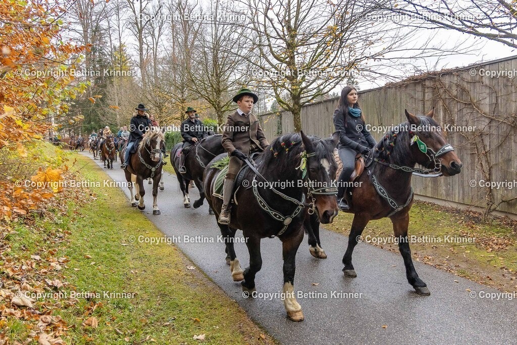 LL25-250 | foto-bettina-krinner - Realisiert mit Pictrs.com