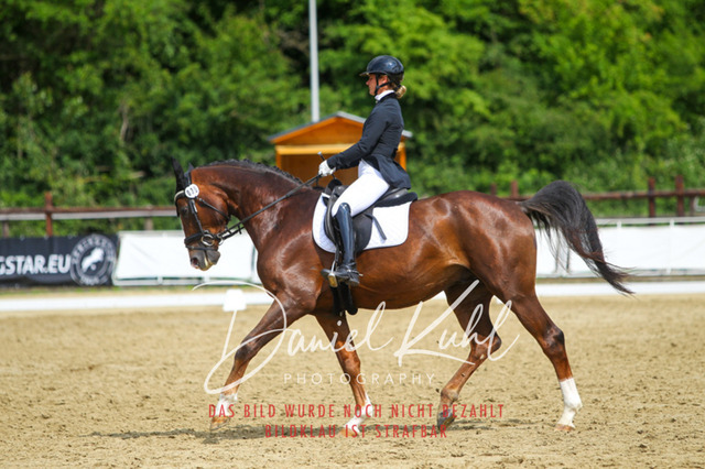 DKP45827 | Turniersportfotografie; Pferdefotografie; Dressurfotografie