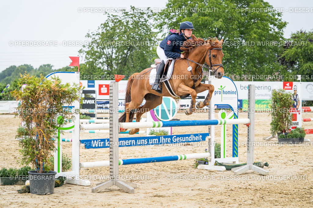 DSC00949 | Pferdegrafie