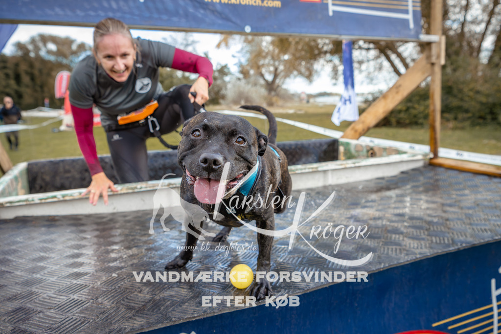 1518_ZZ96401 | kk-dogfotos