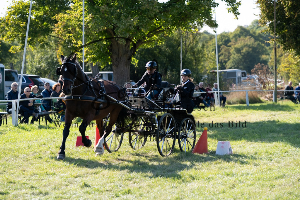 A7V04536 | Pferdefotograf