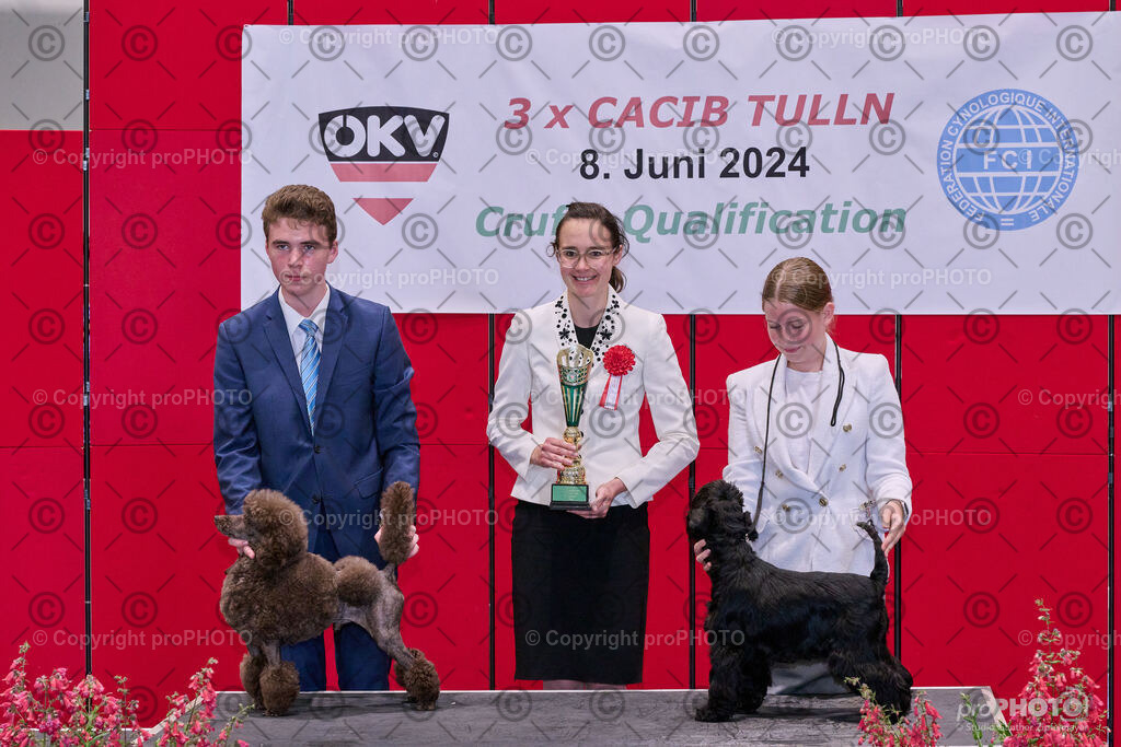 202406_ÖKV-IHA-Tulln24_NZ9_8601 | proPHOTO - Realisiert mit Pictrs.com