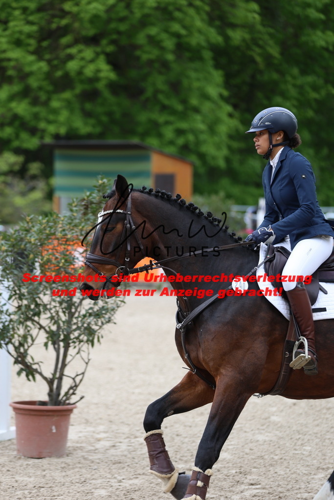 A40A4600 | lmwpictures - Realisiert mit Pictrs.com